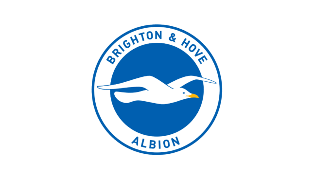 Brighton & Hove Albion: Premier League Team